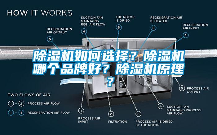除濕機(jī)如何選擇?除濕機(jī)哪個品牌好?除濕機(jī)原理?