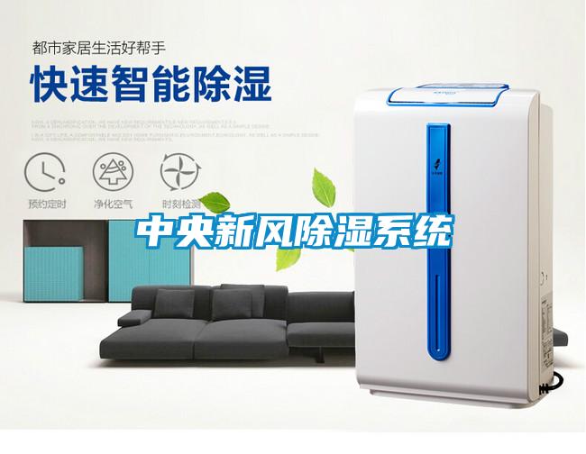 中央新風除濕系統(tǒng)