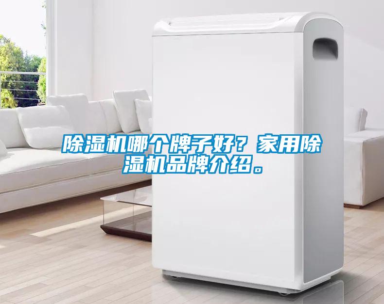 除濕機哪個牌子好？家用除濕機品牌介紹。
