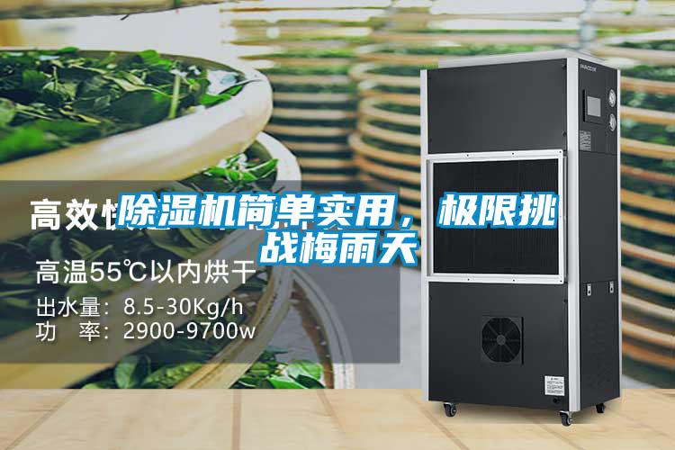 除濕機簡單實用，極限挑戰(zhàn)梅雨天