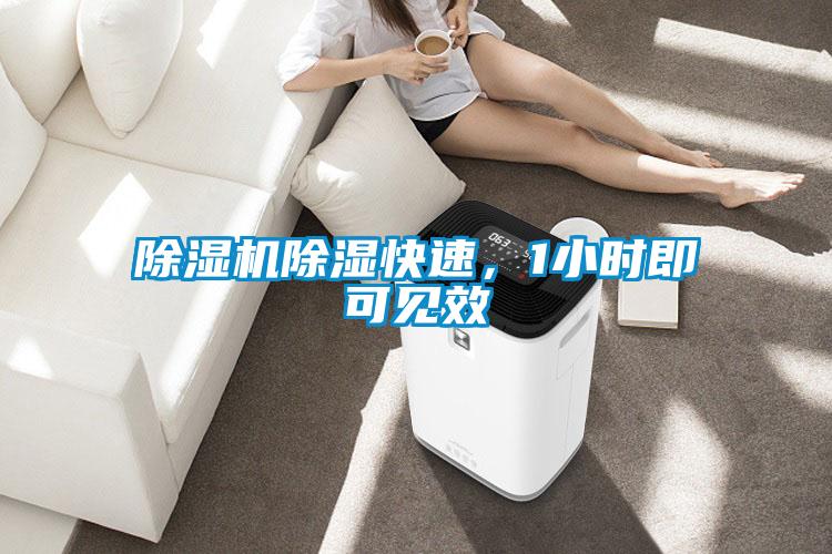 除濕機(jī)除濕快速，1小時即可見效