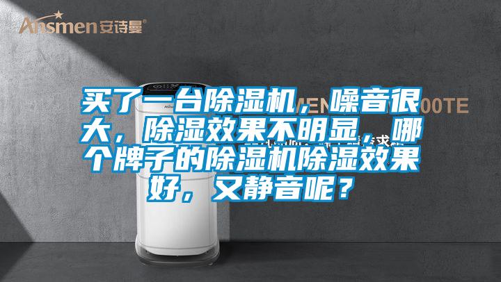 買了一臺除濕機，噪音很大，除濕效果不明顯，哪個牌子的除濕機除濕效果好，又靜音呢？