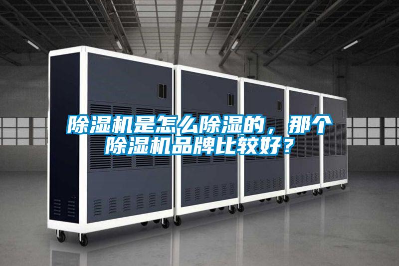除濕機是怎么除濕的，那個除濕機品牌比較好？
