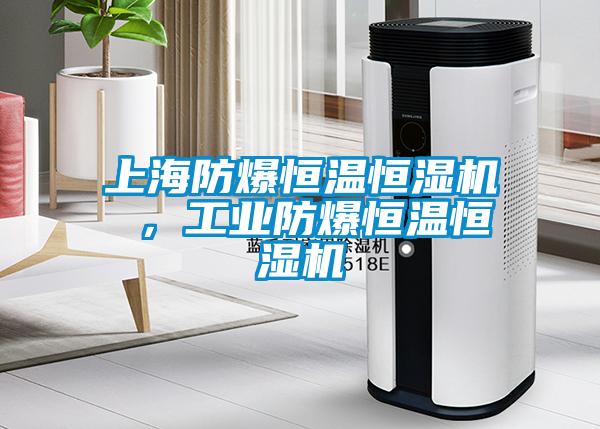 上海防爆恒溫恒濕機(jī) ，工業(yè)防爆恒溫恒濕機(jī)