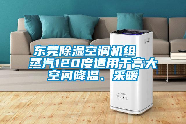 東莞除濕空調(diào)機(jī)組  蒸汽120度適用于高大空間降溫、采暖