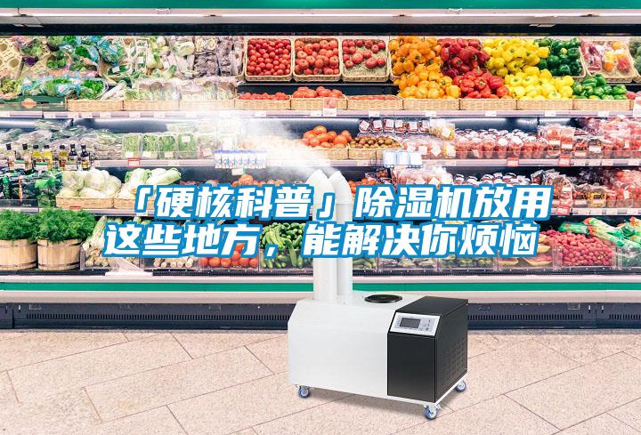 「硬核科普」除濕機(jī)放用這些地方，能解決你煩惱