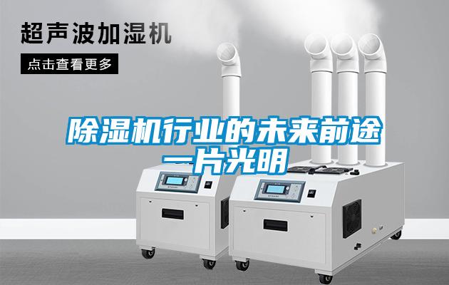 除濕機(jī)行業(yè)的未來前途一片光明