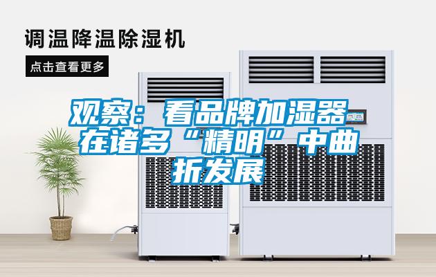 觀察：看品牌加濕器 在諸多“精明”中曲折發(fā)展