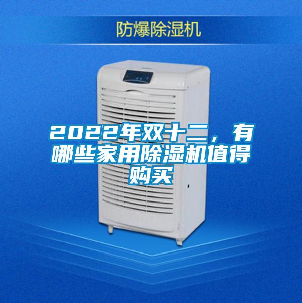2022年雙十二，有哪些家用除濕機值得購買