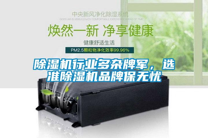 除濕機(jī)行業(yè)多雜牌軍，選準(zhǔn)除濕機(jī)品牌保無(wú)憂