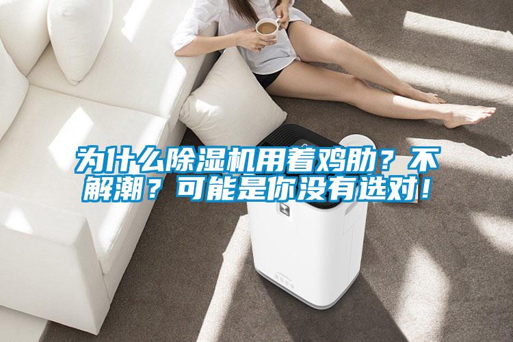 為什么除濕機(jī)用著雞肋？不解潮？可能是你沒(méi)有選對(duì)！