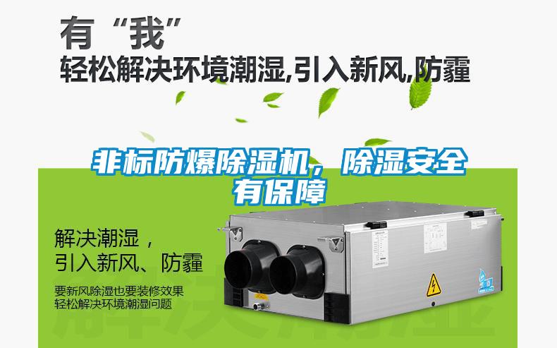 非標防爆除濕機，除濕安全有保障