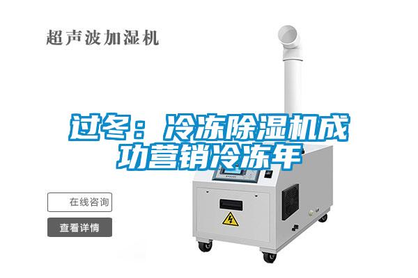 過冬：冷凍除濕機(jī)成功營銷冷凍年