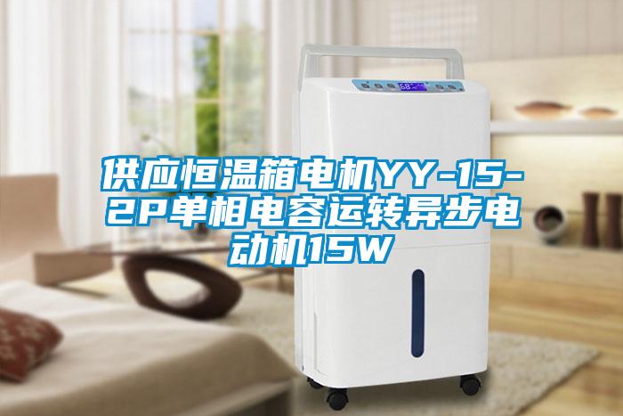 供應(yīng)恒溫箱電機YY-15-2P單相電容運轉(zhuǎn)異步電動機15W