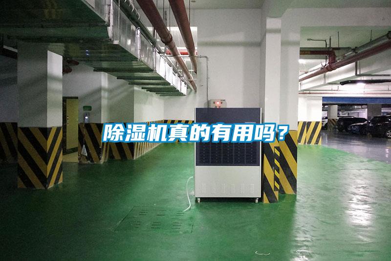 除濕機真的有用嗎？