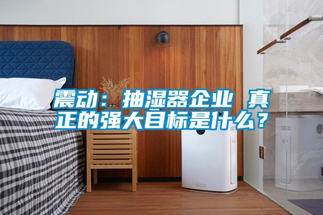 震動：抽濕器企業(yè) 真正的強大目標是什么？