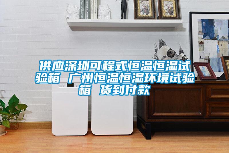 供應(yīng)深圳可程式恒溫恒濕試驗箱 廣州恒溫恒濕環(huán)境試驗箱 貨到付款