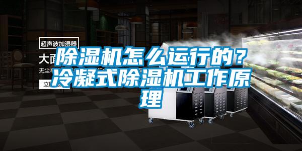 除濕機(jī)怎么運(yùn)行的？冷凝式除濕機(jī)工作原理