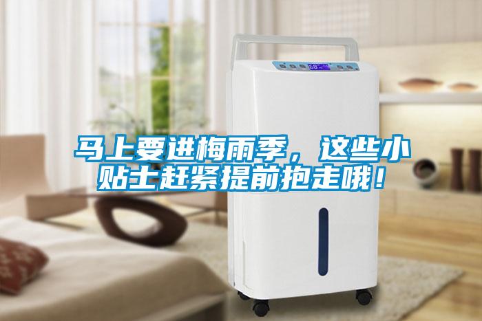 馬上要進(jìn)梅雨季，這些小貼士趕緊提前抱走哦！