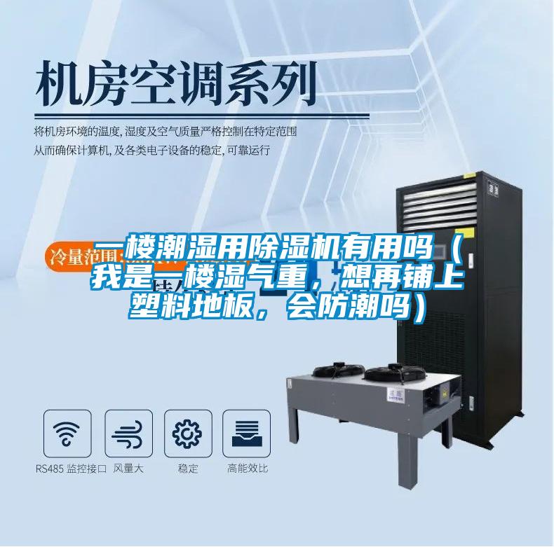 一樓潮濕用除濕機有用嗎（我是一樓濕氣重，想再鋪上塑料地板，會防潮嗎）