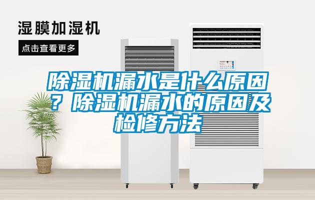除濕機(jī)漏水是什么原因？除濕機(jī)漏水的原因及檢修方法