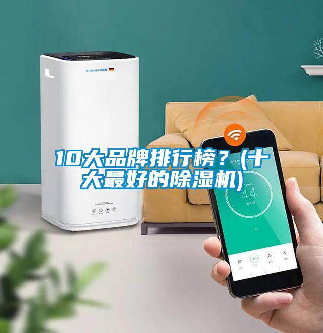 10大品牌排行榜？(十大最好的除濕機(jī))