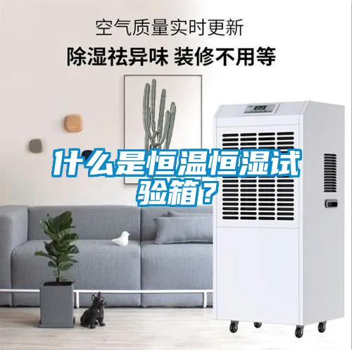 什么是恒溫恒濕試驗(yàn)箱？