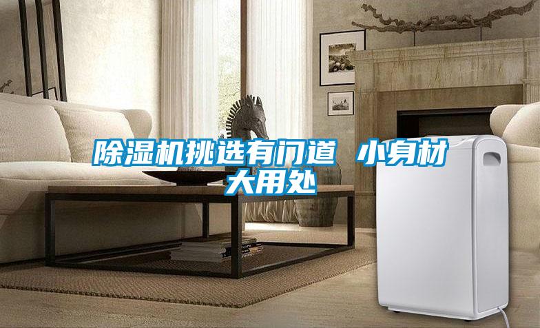 除濕機(jī)挑選有門(mén)道 小身材大用處