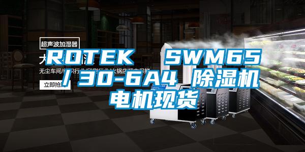 ROTEK  SWM65／30-6A4 除濕機電機現(xiàn)貨