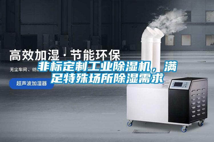 非標定制工業(yè)除濕機，滿足特殊場所除濕需求