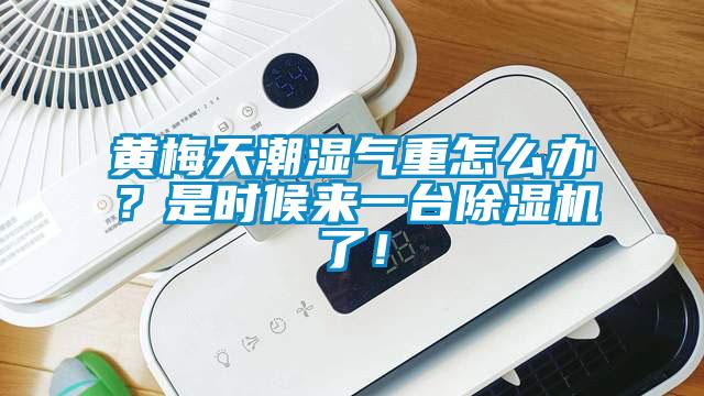 黃梅天潮濕氣重怎么辦？是時候來一臺除濕機(jī)了！