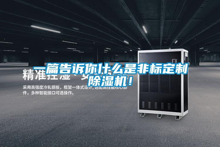 一篇告訴你什么是非標(biāo)定制除濕機(jī)！