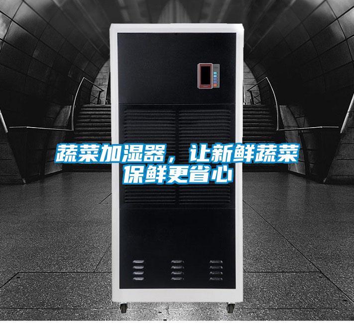 蔬菜加濕器，讓新鮮蔬菜保鮮更省心