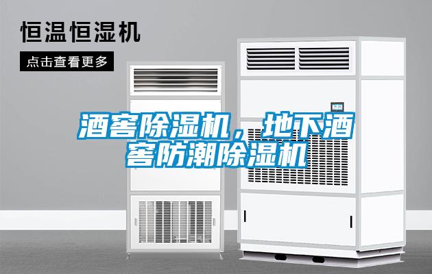 酒窖除濕機(jī)，地下酒窖防潮除濕機(jī)