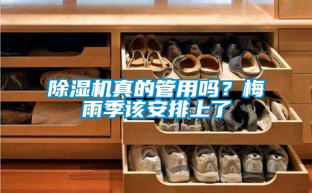 除濕機(jī)真的管用嗎？梅雨季該安排上了
