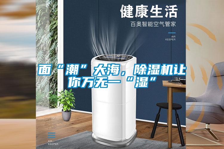 面“潮”大海，除濕機(jī)讓你萬(wàn)無(wú)一“濕”
