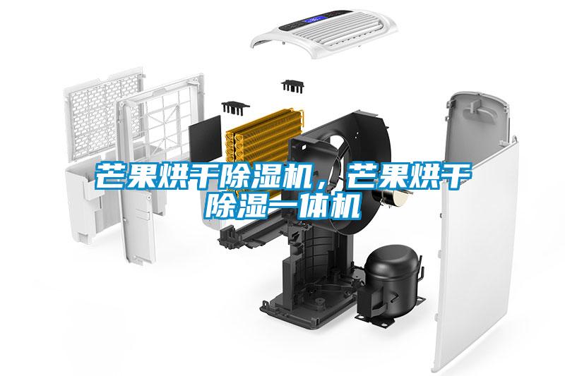 芒果烘干除濕機(jī)，芒果烘干除濕一體機(jī)