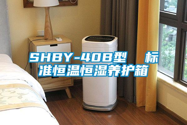 SHBY-40B型  標準恒溫恒濕養(yǎng)護箱