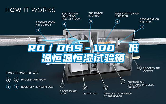 RD／DHS－100  低溫恒溫恒濕試驗(yàn)箱