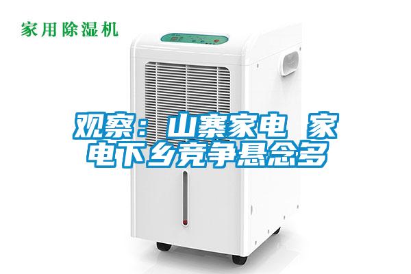 觀察：山寨家電 家電下鄉(xiāng)競(jìng)爭(zhēng)懸念多