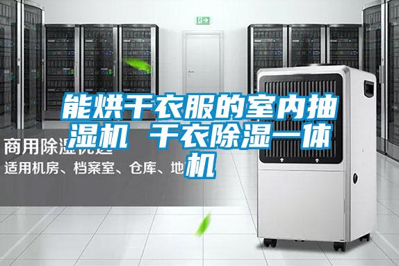 能烘干衣服的室內(nèi)抽濕機(jī) 干衣除濕一體機(jī)