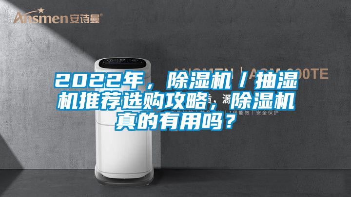 2022年，除濕機／抽濕機推薦選購攻略，除濕機真的有用嗎？