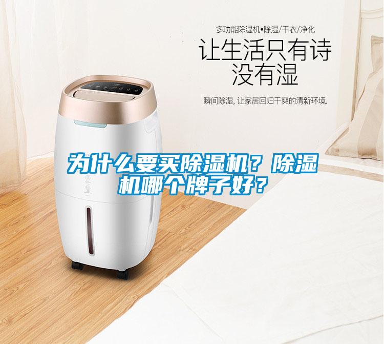 為什么要買除濕機？除濕機哪個牌子好？