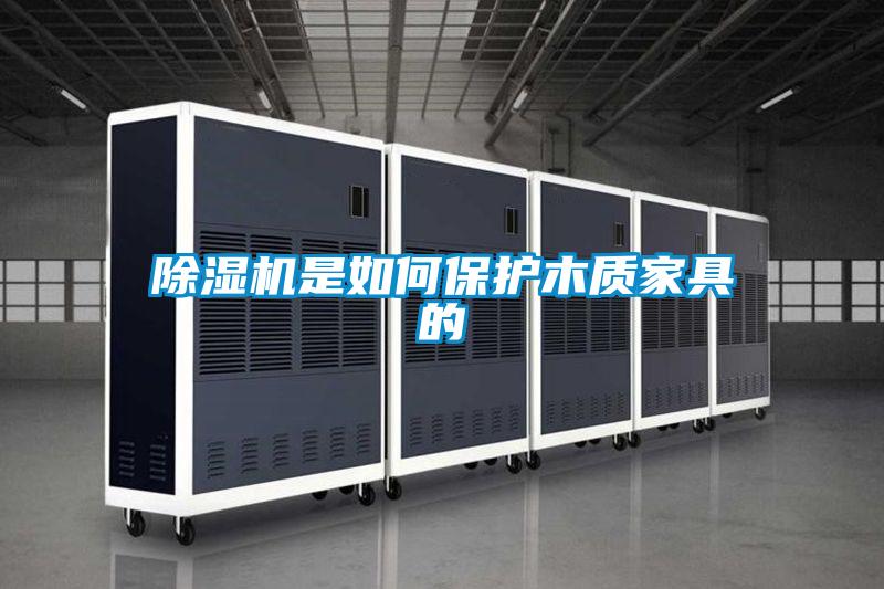除濕機是如何保護木質(zhì)家具的