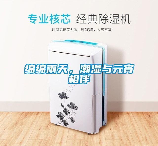 綿綿雨天，潮濕與元宵相伴