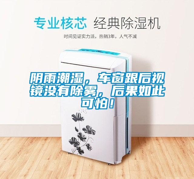 陰雨潮濕，車窗跟后視鏡沒有除霧，后果如此可怕！