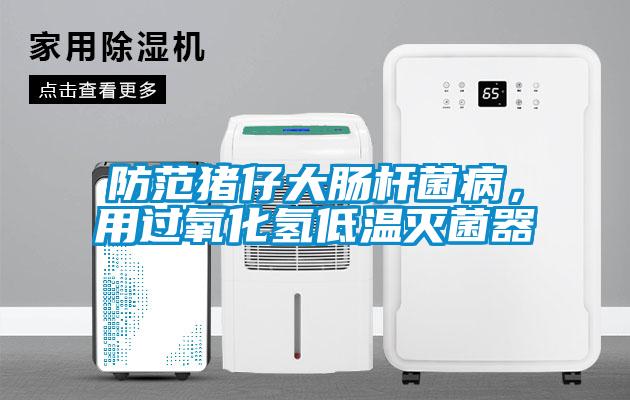 防范豬仔大腸桿菌病，用過氧化氫低溫滅菌器