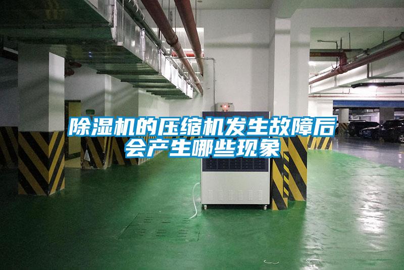 除濕機的壓縮機發(fā)生故障后會產生哪些現象