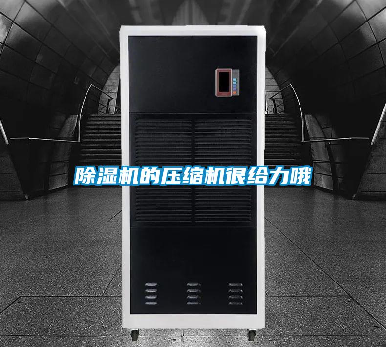 除濕機(jī)的壓縮機(jī)很給力哦