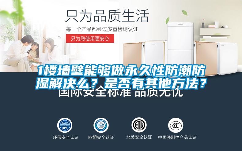 1樓墻壁能夠做永久性防潮防濕解決么？是否有其他方法？